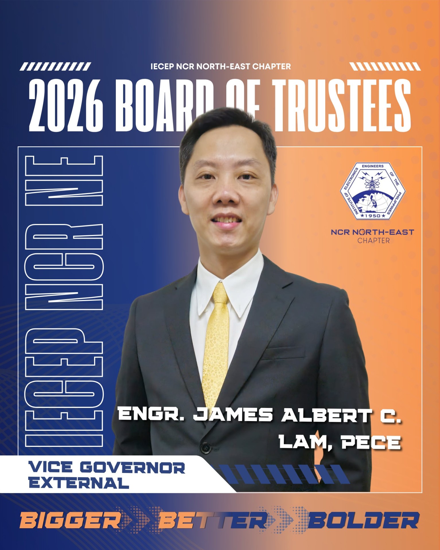 Portrait of Engr. James Albert C. Lam, PECE, Vice Governor – External